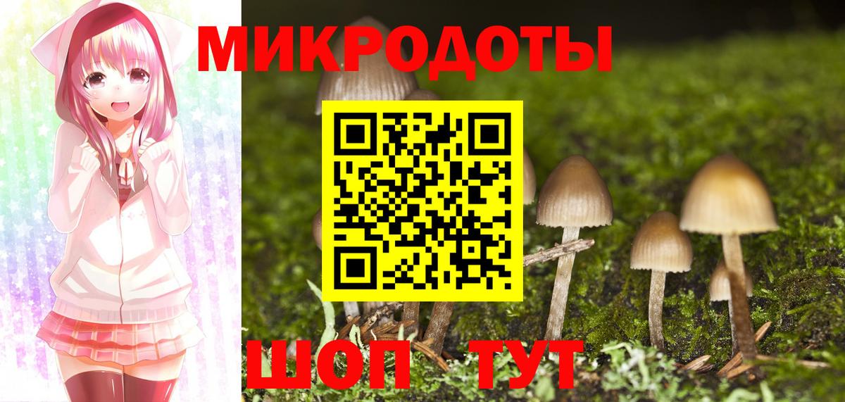 Галлюциногенные грибы MAGIC MUSHROOMS  Вход с VPN  Кимовск 