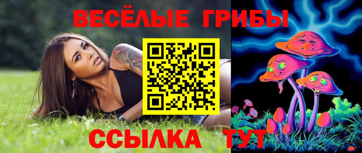 Галлюциногенные грибы мицелий Кимовск